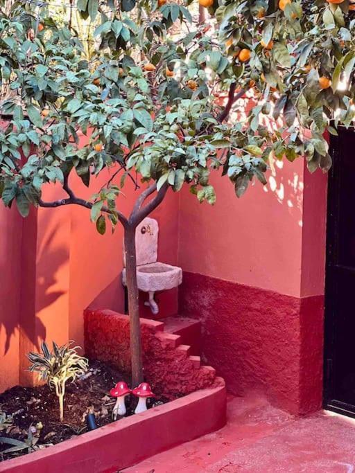 Zarlett House, Pazari Ri ,Villa With Garden,Parking Τίρανα Εξωτερικό φωτογραφία